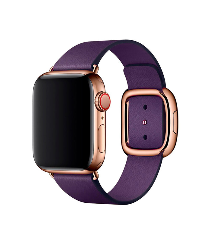 straps-leather-3 Aubergine Modern Buckle - Image 1